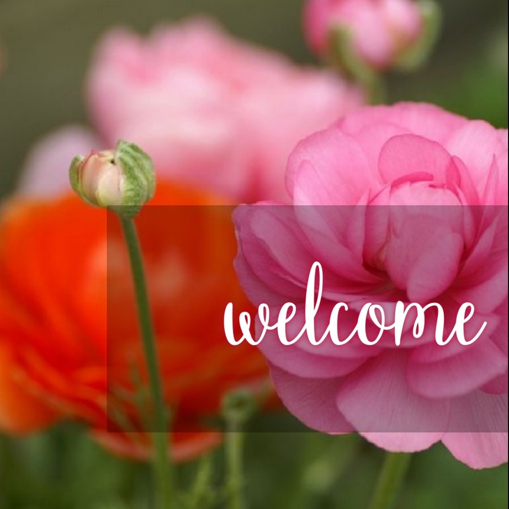 📣 |❗Offers Always Welcome❗| 📣